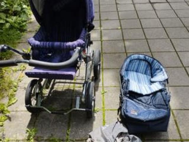 Kinderwagen von Emmaljunga + Extra - 1