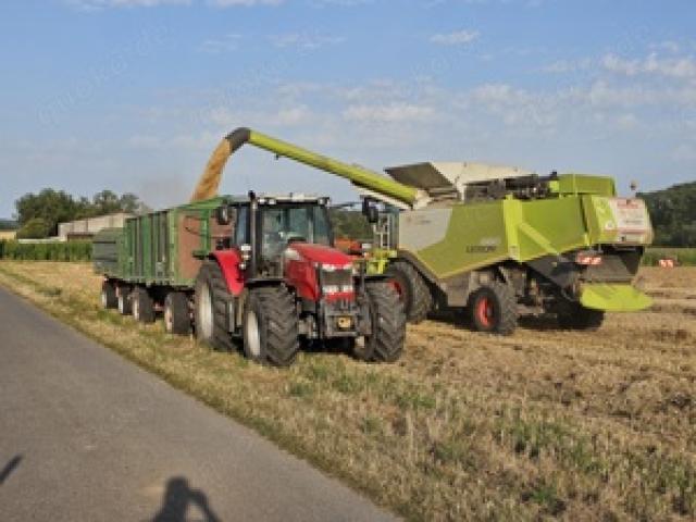 Acker, Feld, Wiese oder Grünland zur Pacht gesucht - 1